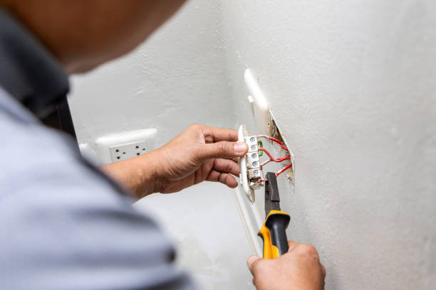 Best Electric Panel Repair  in Richnd Heights, MO